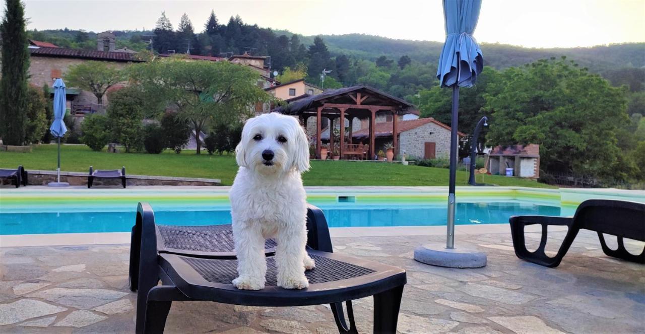 Podere Verdi Colline Poppi Buitenkant foto