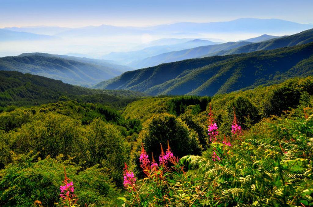 Podere Verdi Colline Poppi Buitenkant foto